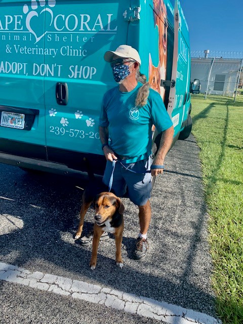 Cape Coral Animal Shelter shares story of Stanley the dog