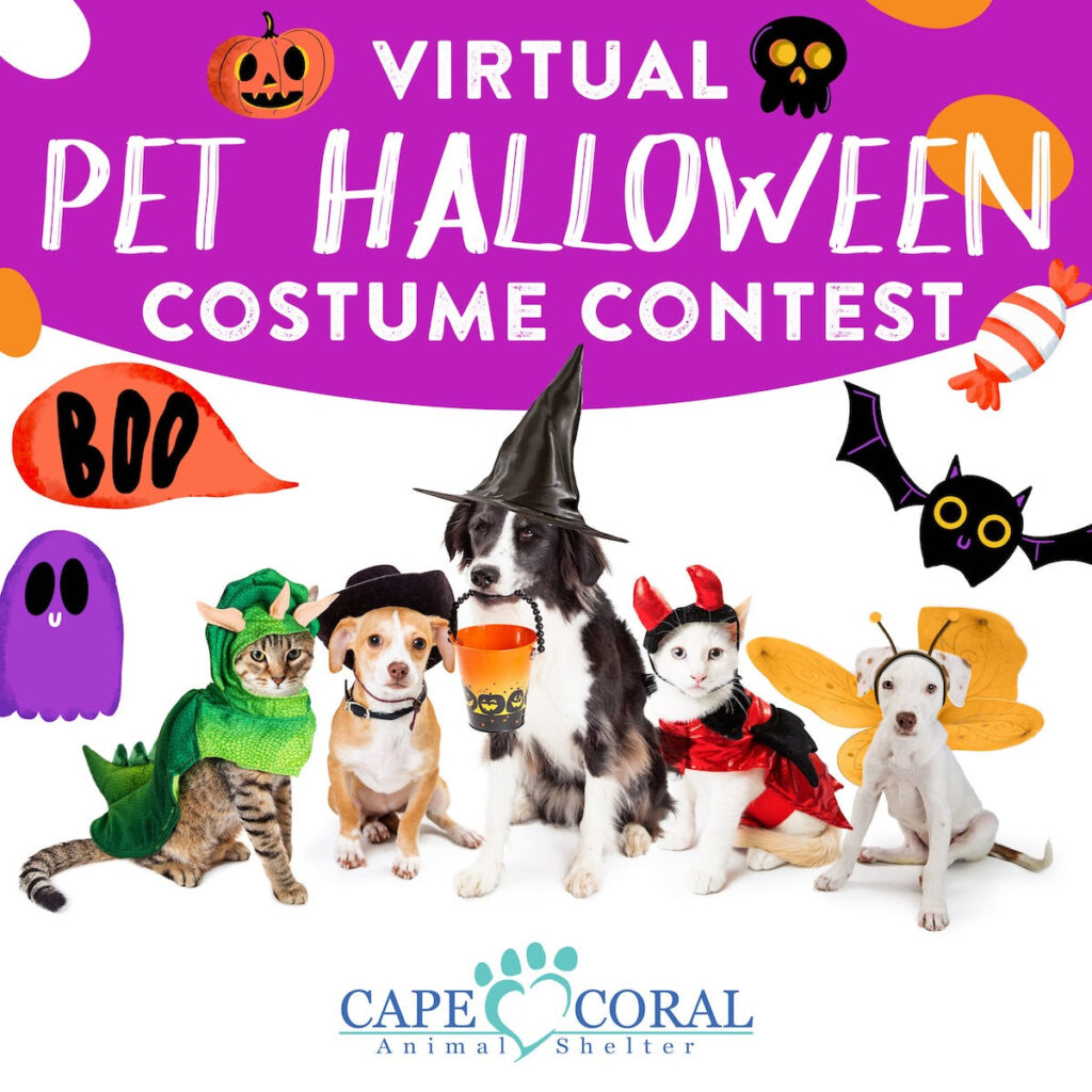 2020 Virtual Pet Costume Contest - Naturally 4 Paws