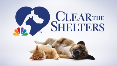 Lee County Domestic Animal Services to participate in Clear the Shelters
