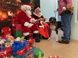 CAPE CORAL ANIMAL SHELTER TO GIVE PRESENTS TO SHELTER CATS AND DOGS ON CHRISTMAS DAY