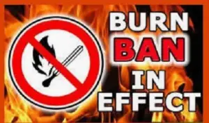 Cape Coral issues a temporary burn ban