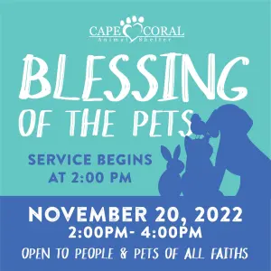 New date for Blessing of the Pets